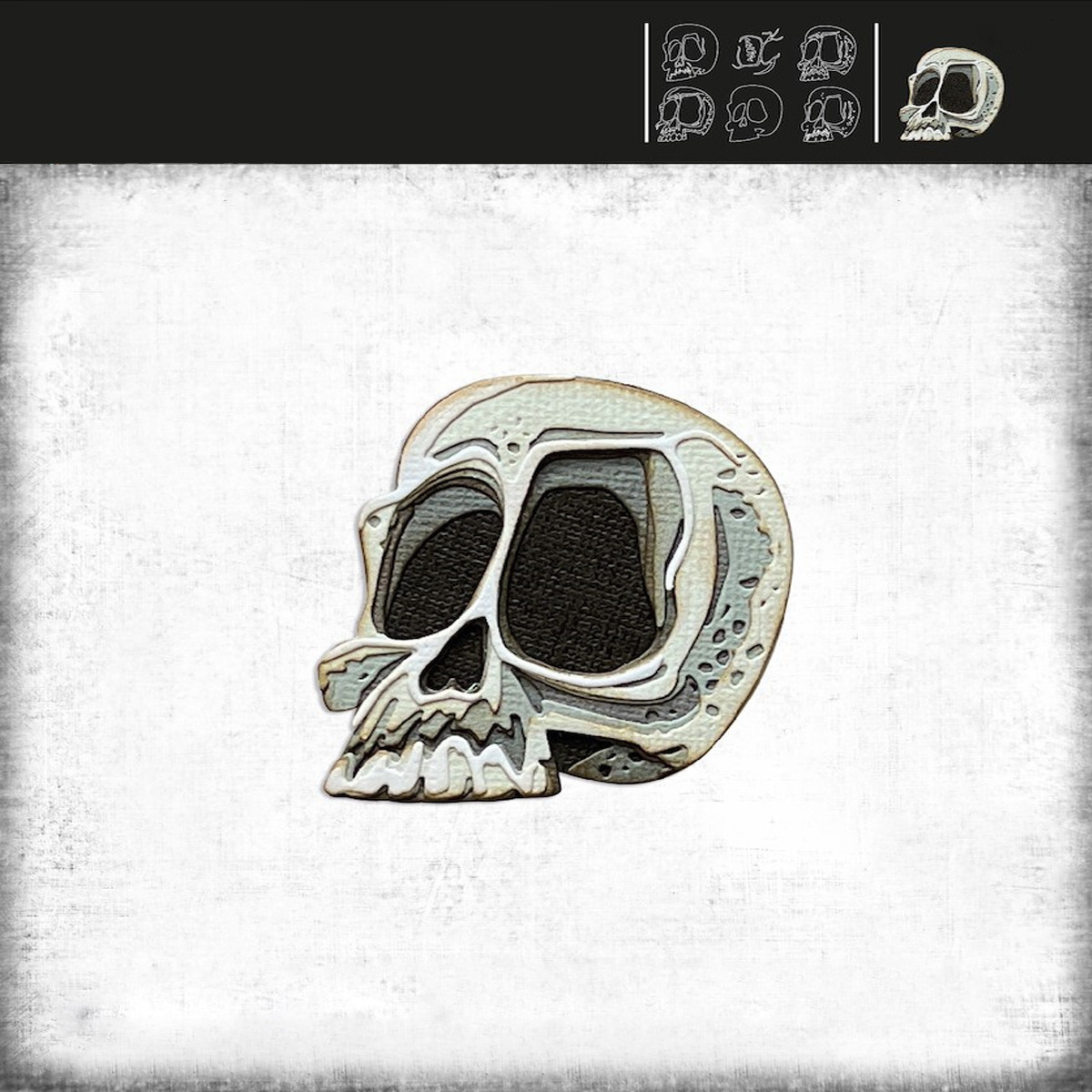 2210-9-33 칼 다이