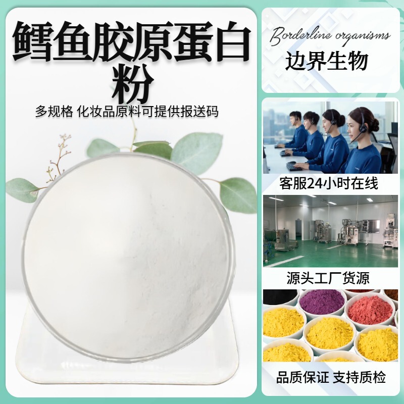 Cod Collagen Powder, Deep Sea Cod Peptide Powder, Hydrolyzed Collagen Small Molecule Peptide Powder, Raw Material Source Manufacturer