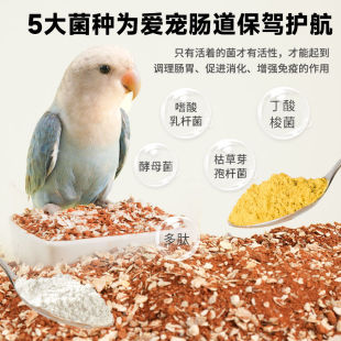 �a�}�W�^��ü�B��üt������ɰɳ��Ʒ�I�B�a�}С�B����ɰ