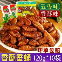 香酥蚕蛹开袋即食山东土特产油炸五香小蚕蛹熟食小吃商用批发1