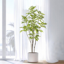 ����Gֲ��ѿ�� ���W�Ҿ��b[��������Լ�ֲ��߼����㴻��