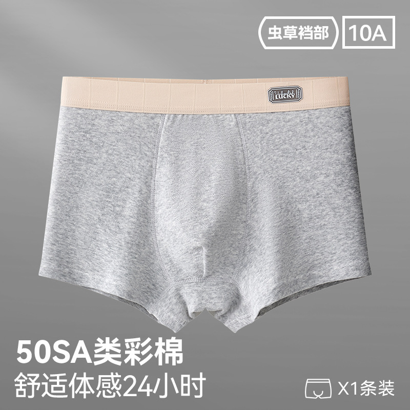 96027-포그 그레이