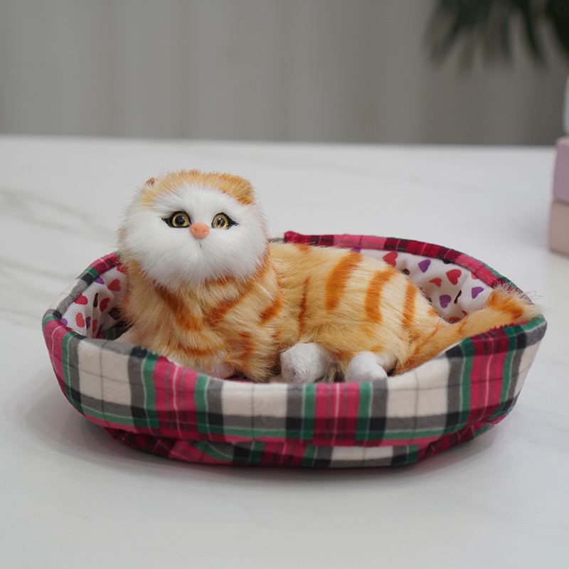 둥지가있는 고양이는 전화 할 수 있습니다.