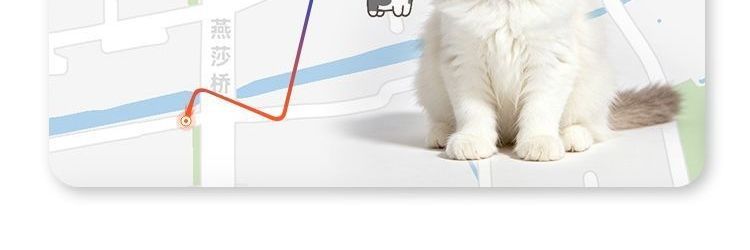 Real-time dog tracking smart GPS tracker, new anti-electronic fence locator, waterproof pet cat collar, others