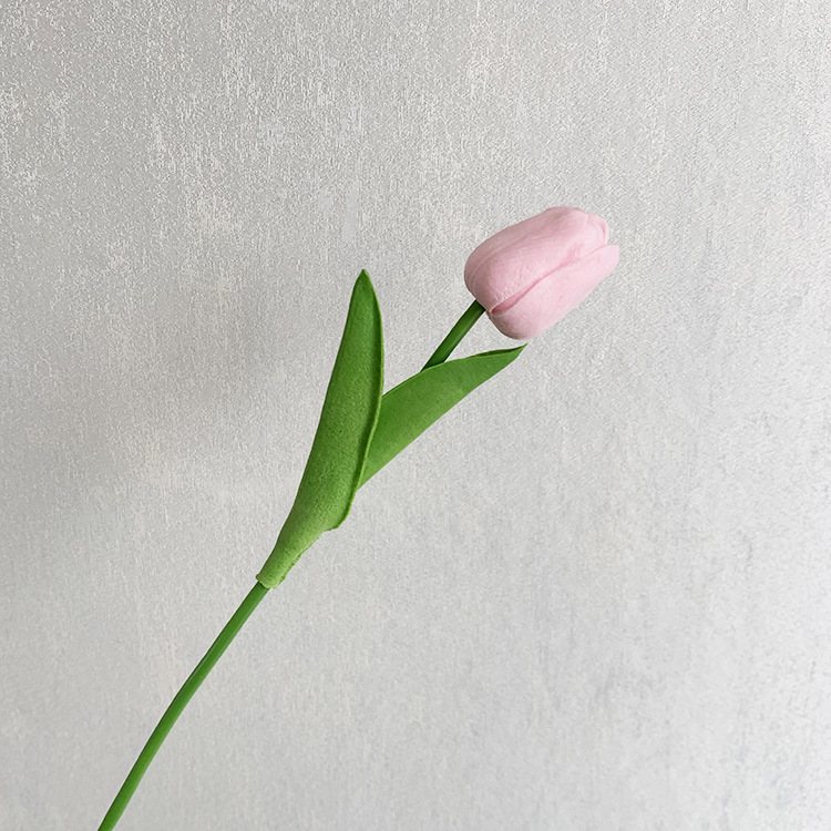 캔디 파우더