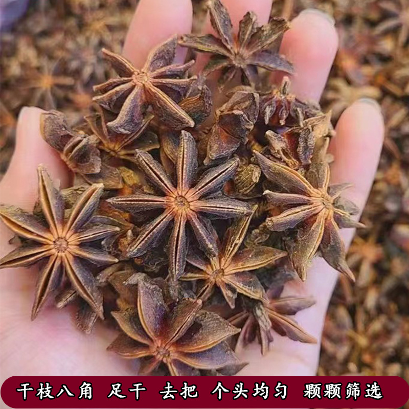 足干干枝八角