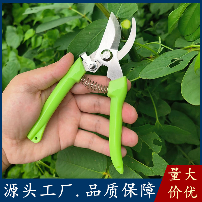 园艺修枝剪刀不锈钢剪彩色手柄摘果剪盆栽苗圃修剪花枝剪园林工具