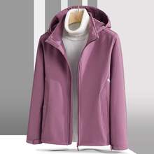 ;2025¿ﶬܛБΌӛ_hŮﶬLˮץq