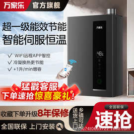 万家.乐燃气热水器一级能效5天然气恒温热水器水伺服家用1316升