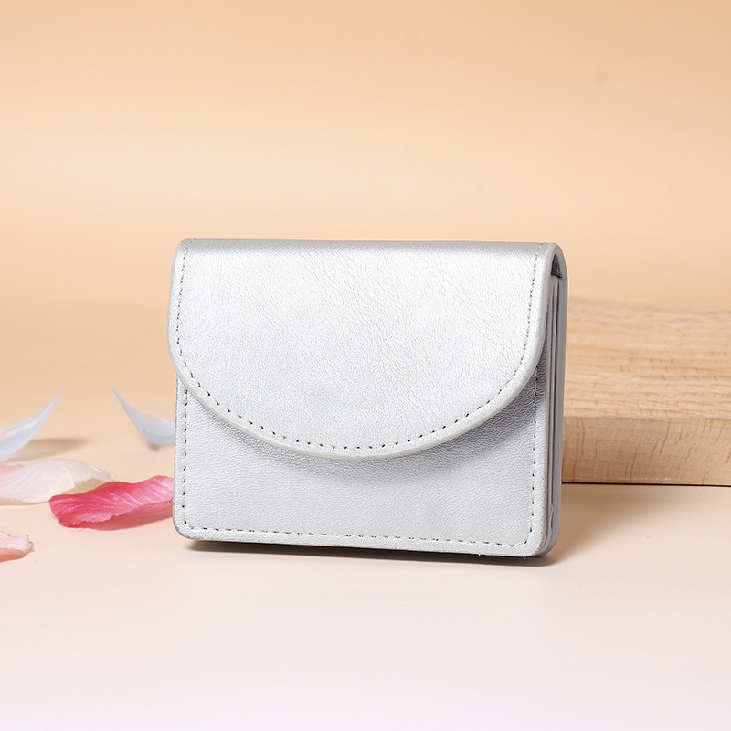 Solid Color Card Holder For Passport And Travel Essentials_voghion.com