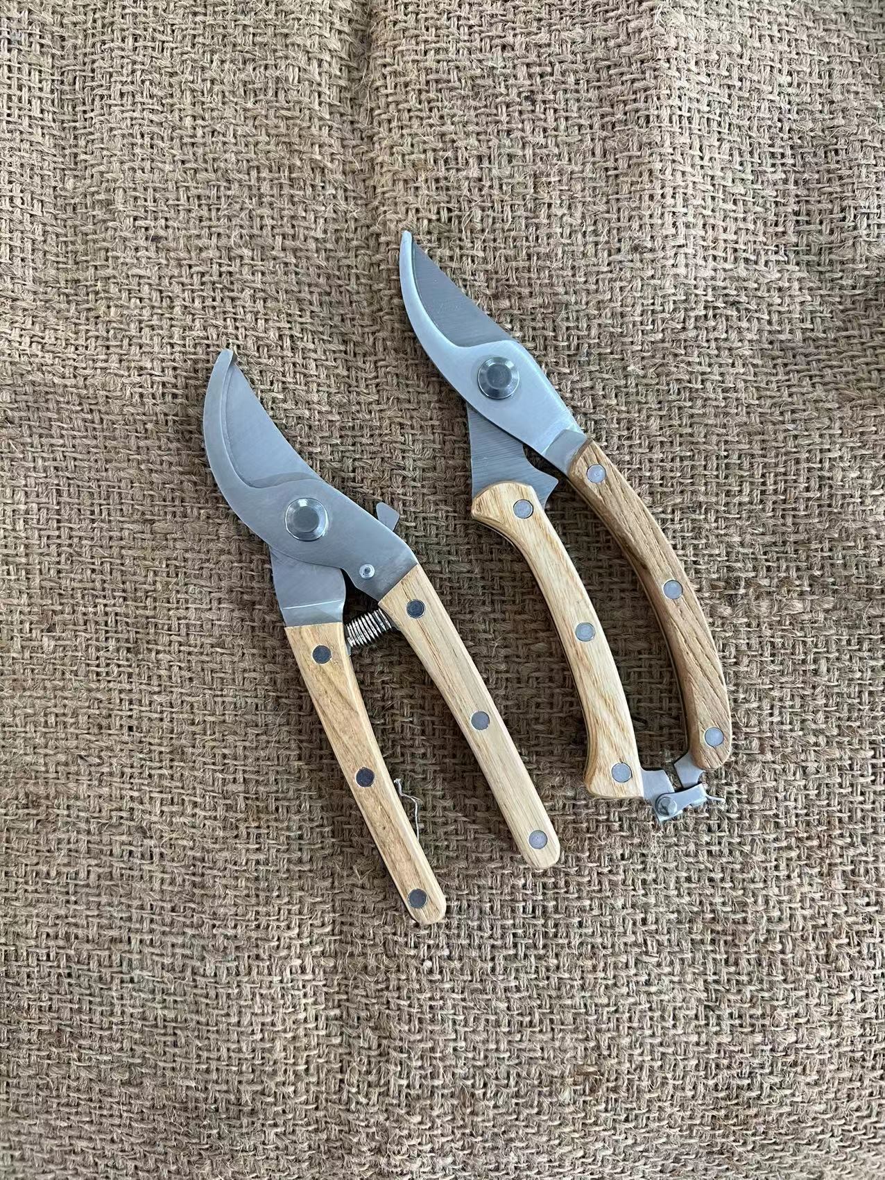 微信图片_20230628095835