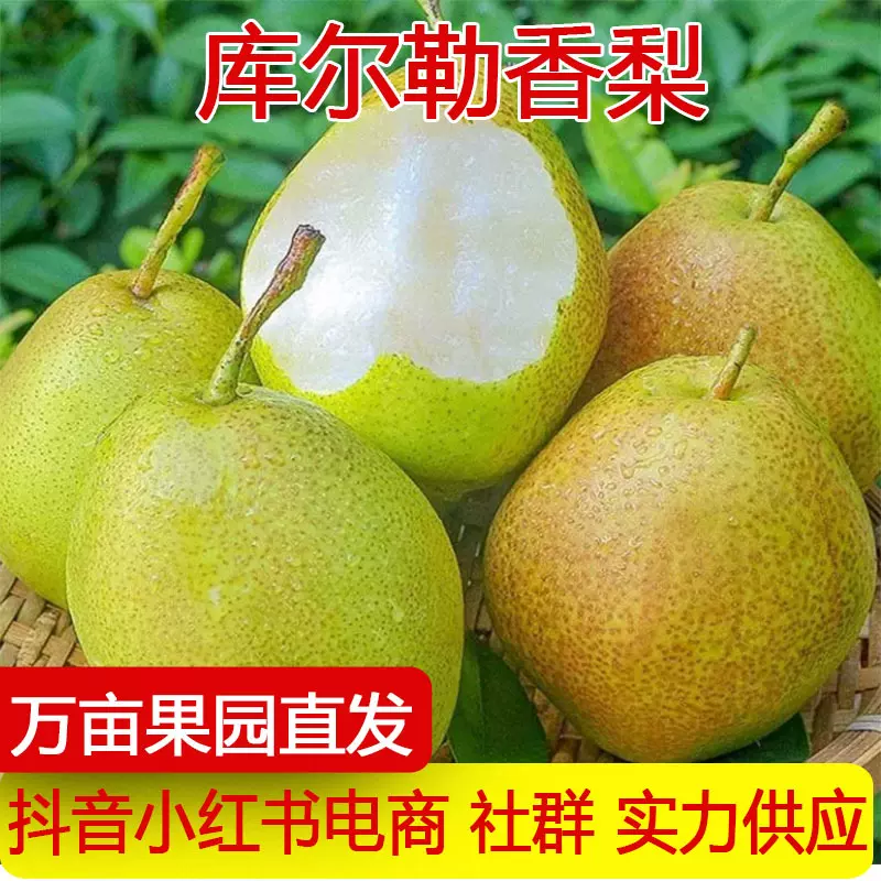 顺丰快递产地直发新疆香梨母梨子小香梨香酥梨新鲜孕妇水果一件代