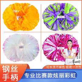 花球 啦啦队花球 啦啦操手花拉拉队手花手拿花 国际赛事专用花球