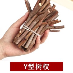 Y 字型枝幼稚園手作り diy 素材天然枯れ枝花束幹枝リング装飾装飾