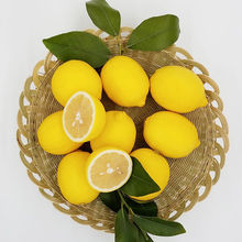 四川安岳產地檸檬新鮮水果黃檸檬皮薄多汁中大果整箱批發一件代發