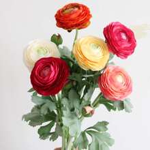 ���滨�[�����^¶ɏ ��ĵ���ٻ�ëݢ��c�Ҿ������b�