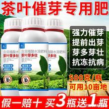 茶叶专用叶面肥喷施催芽催芽素催芽剂爆牙素有机水溶肥壮芽嫩芽素