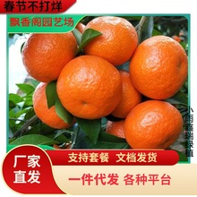 ������Ƥ�۽���޽Ә���С���ٹ���ˮ���������� ����ͥԺ�Nֲ