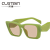 Square retro brand sunglasses, European style, 2022 collection, internet celebrity