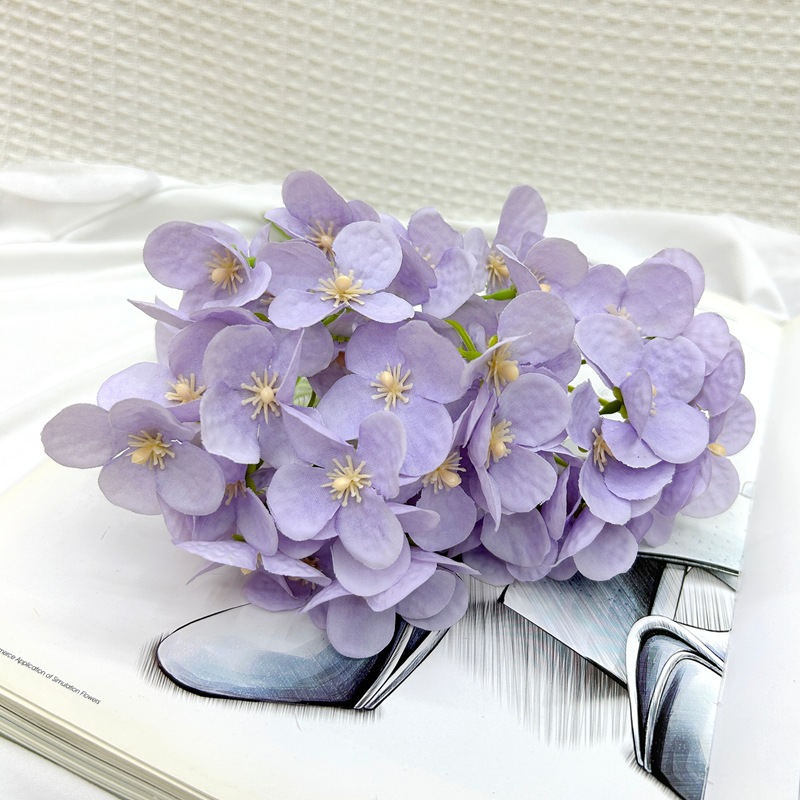 보라