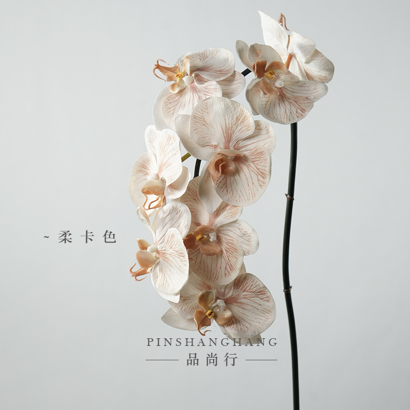 부드러운 카드 컬러-93cm