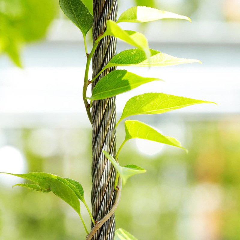 不锈钢绳网防护网高空防坠网楼梯防护网 鸟语林植物攀爬304安全网