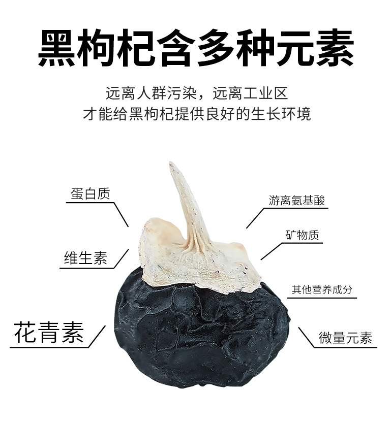 Premium Ningxia Goji Berry Gift Box Unsulfured Grade A Zhongning Wolfberry Ready to Eat specifications