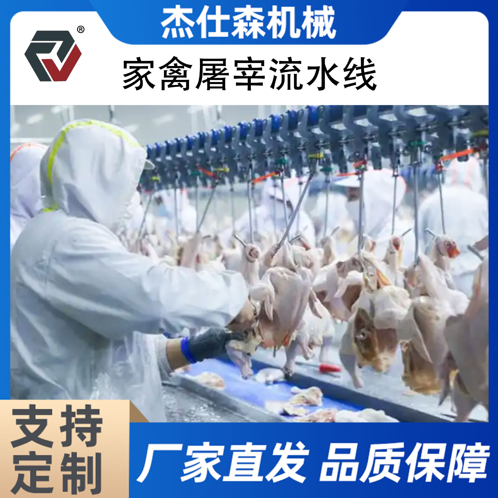 定制溜达鸡烫脱一体机 鸡鸭鹅宰杀浸烫流水线 养殖家禽屠宰流水线