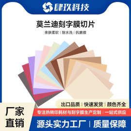 热转印vinly莫兰迪刻字膜12x10in 服装 烫画膜PU柔软跨境黑五必囤