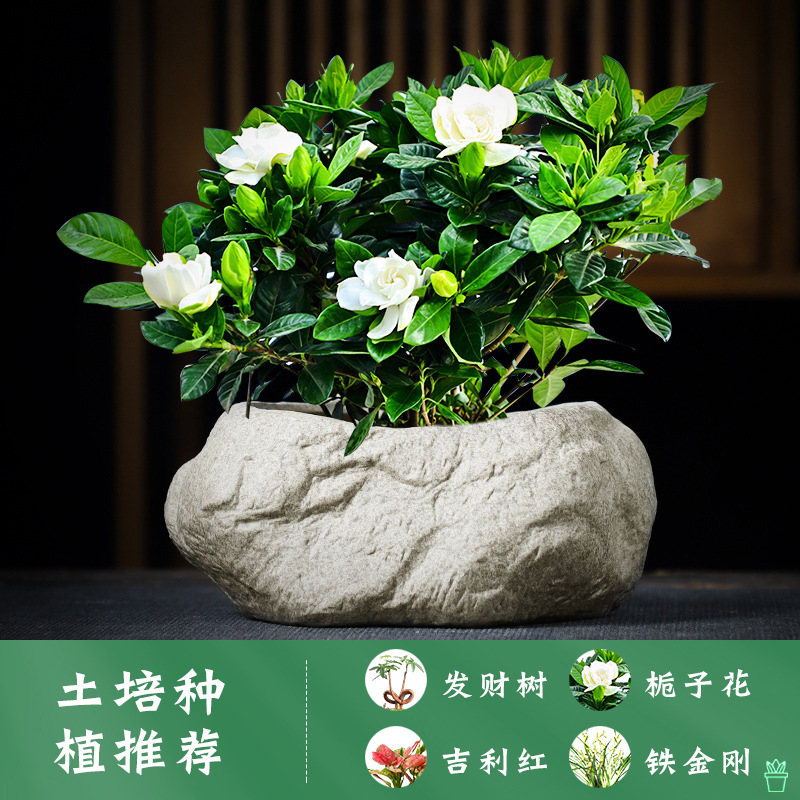 Macetas verdes para plantas de jardín con suelo perforado, macetas de imitación de piedra personalizadas, venta directa del fabricante, cerámica.