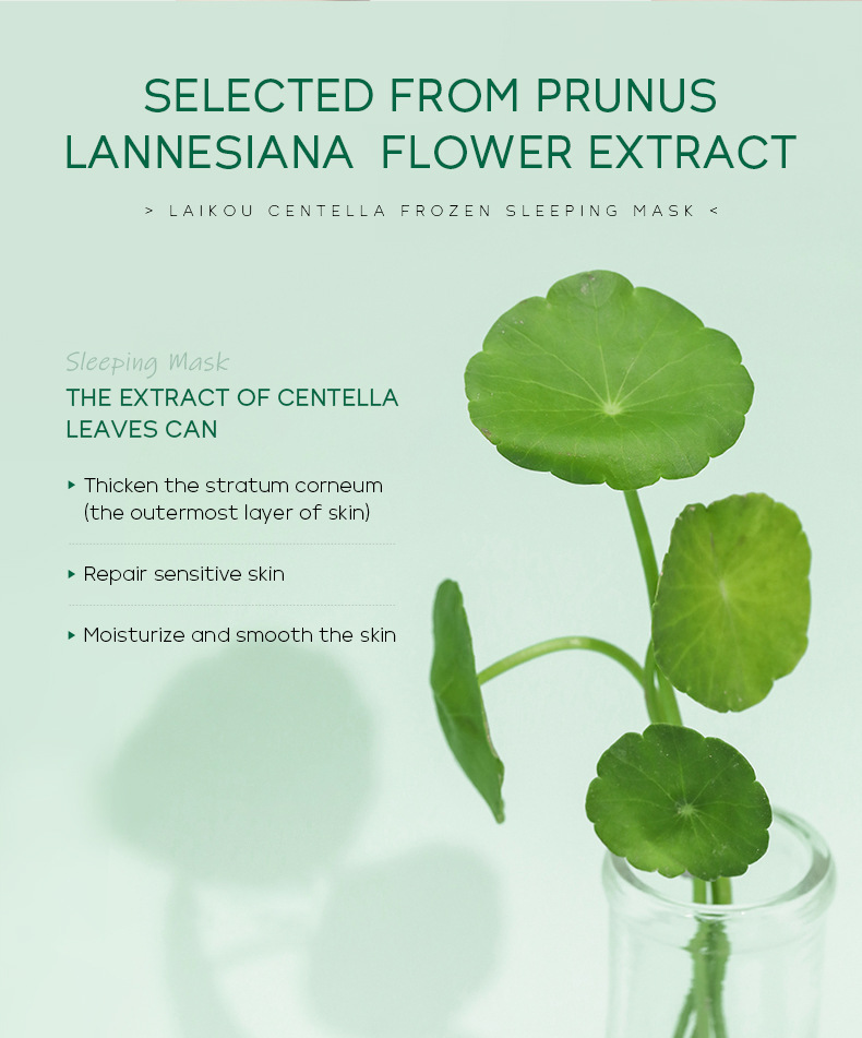 Wholesale cross-border LAIKOU Centella asiatica frozen Mask 100g application-based sleeping mask Hydrating Moisturizing Cleansing mask undefined