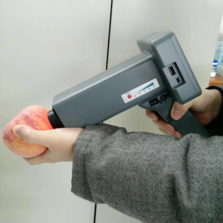 HSXD-1100便携式果品近红外分析仪-芒果黑心病快速分析仪生产厂家