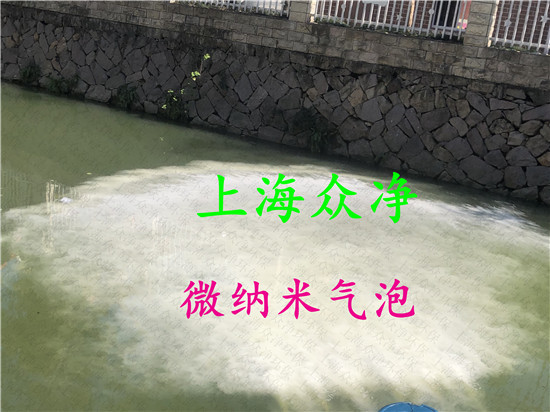 Hydrogen Micro Nano Bubble Water Machine Shanghai Micro Nano Bubble Generator Nano Bubble Disinfection Machine