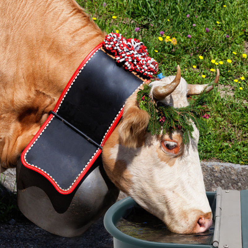 Bebedero de Agua de Plástico Grande para Ganado Vacuno, Ovino y Equino, Tipo Exportación Transfronteriza, Bebedero Automático con Flotador para Ganado.