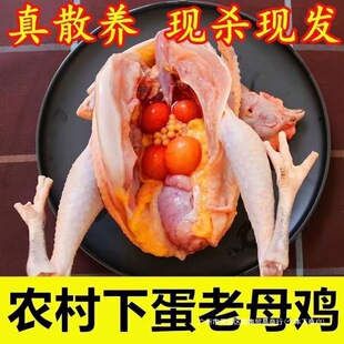 �F�����r�r��ɢ�B���u2����ĸ�u���u�����u���u���u�ߵ��u��ɽ�u