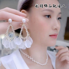 2025�ȼ��L��ɫ�������K���Ů���|�����͹Ŷ��A�����¿����