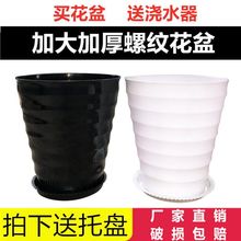 特大号加厚加高黑白色螺纹花盆圆形树脂仿陶瓷塑料绿植盆送托盘