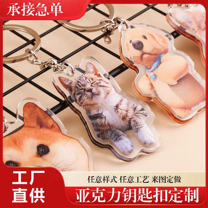 Cartoon Cultural and Creative Acrylic Keychain Pendant Custom Transparent DIY Celebrity Merchandise Resin Keychain Small Gift