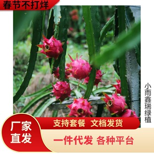 �����������Լt�Ļ������������C�ش��S�����������뮔��Y��