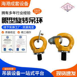 眼型旋转吊环 生产加工旋转万向环吊具起重环 带止动片旋转吊环