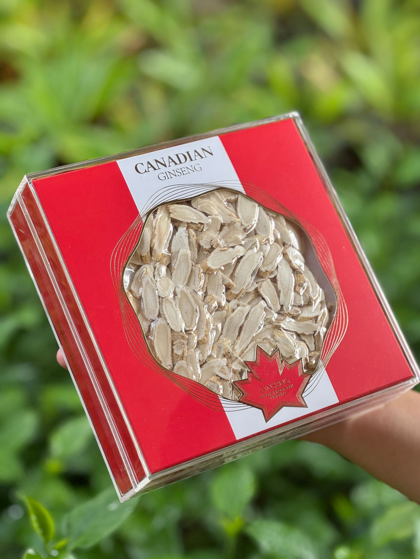 Canadian American Ginseng Slanted Slices 80g Gift Box Soft Branch Flower Flag Ginseng overview