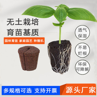 �羳���L���d�o������̿�d���|��ͥ�@ˇ�Nֲ�߲˻���������|̿�d
