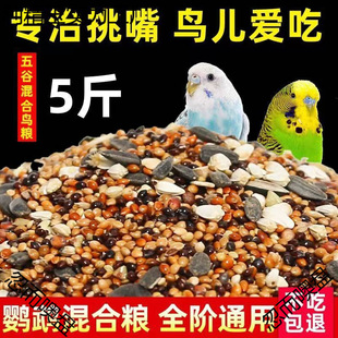 ����B�Z�Bʳ�B���W�^��ϻ�Ƥ���Pĵ����ɫ����ʳ�����250g����