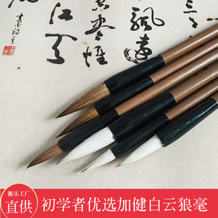 Special Calligraphy Brushes for Beginners in Primary and Secondary Schools, Specially Designed for Calligraphy Classes and Painting Practice