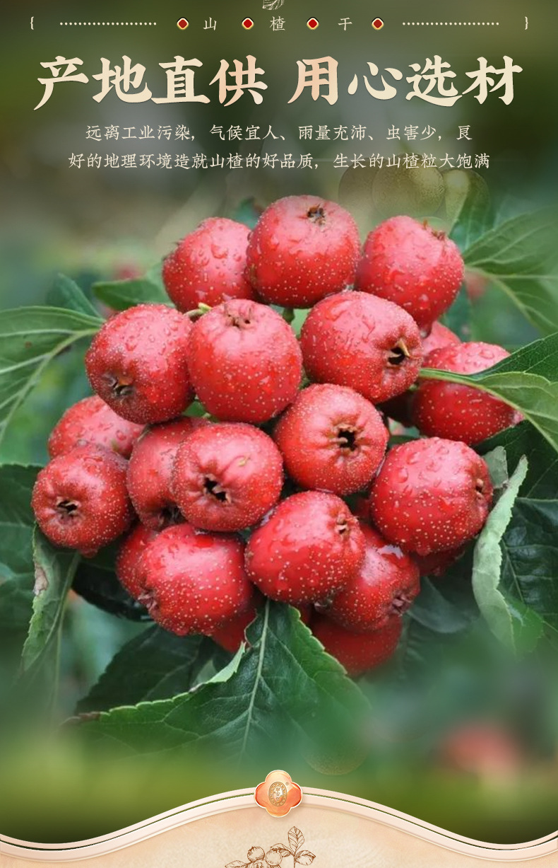 Dried Hawthorn Fruit Slices Seedless Shan Zha 200g Jar for Tea and Soup key features