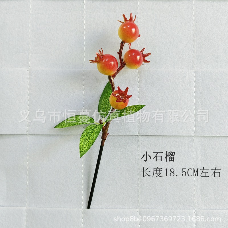 微信图片_20250106123729