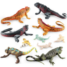 Դ�S�羳��������׃ɫ���ɗ�����ģ�ͱ��y�،m�������_�ߔ[�����