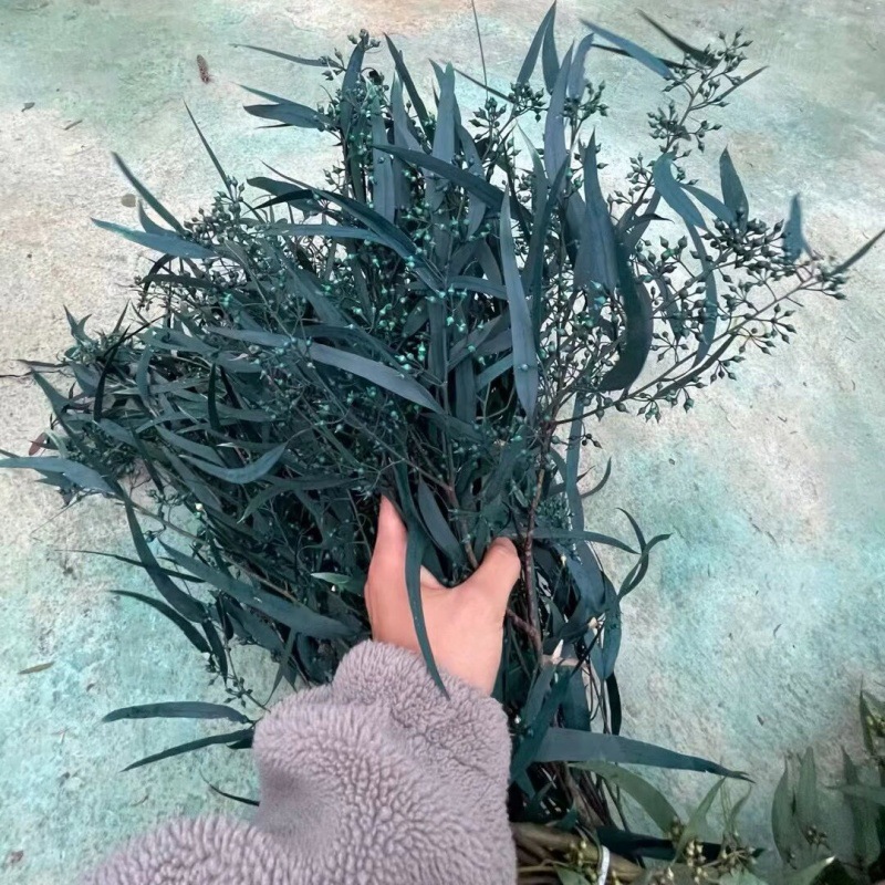 기장 과일 잎 블루