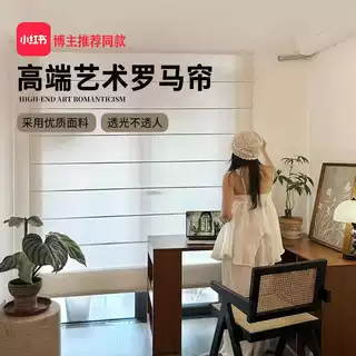 罗马帘定制客厅阳台遮光帘日夜罗马帘遮光帘电动手动上下升降窗帘