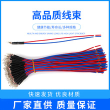 �����tɫ�ʟ����������ָʾ����늾�220V ȡů������ָʾ��